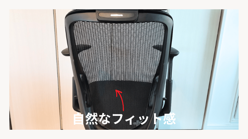 オカムラ シルフィー ランバーサポートなしモデル。背もたれカーブ・バックカーブアジャスト機構で腰を自然に支える様子
